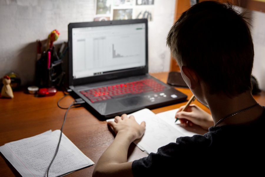 Google lança versão brasileira da Grasshopper
