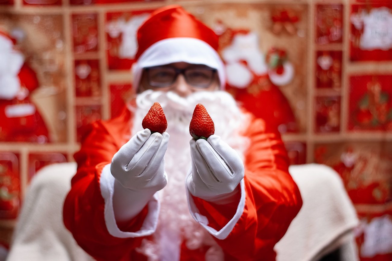 Parque Ceret recebe Evento de Natal e Festival do Torresmo e Morango