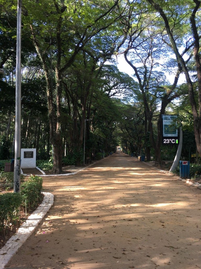 Parque do Piqueri é refúgio verde e ponto de lazer completo no Tatuapé